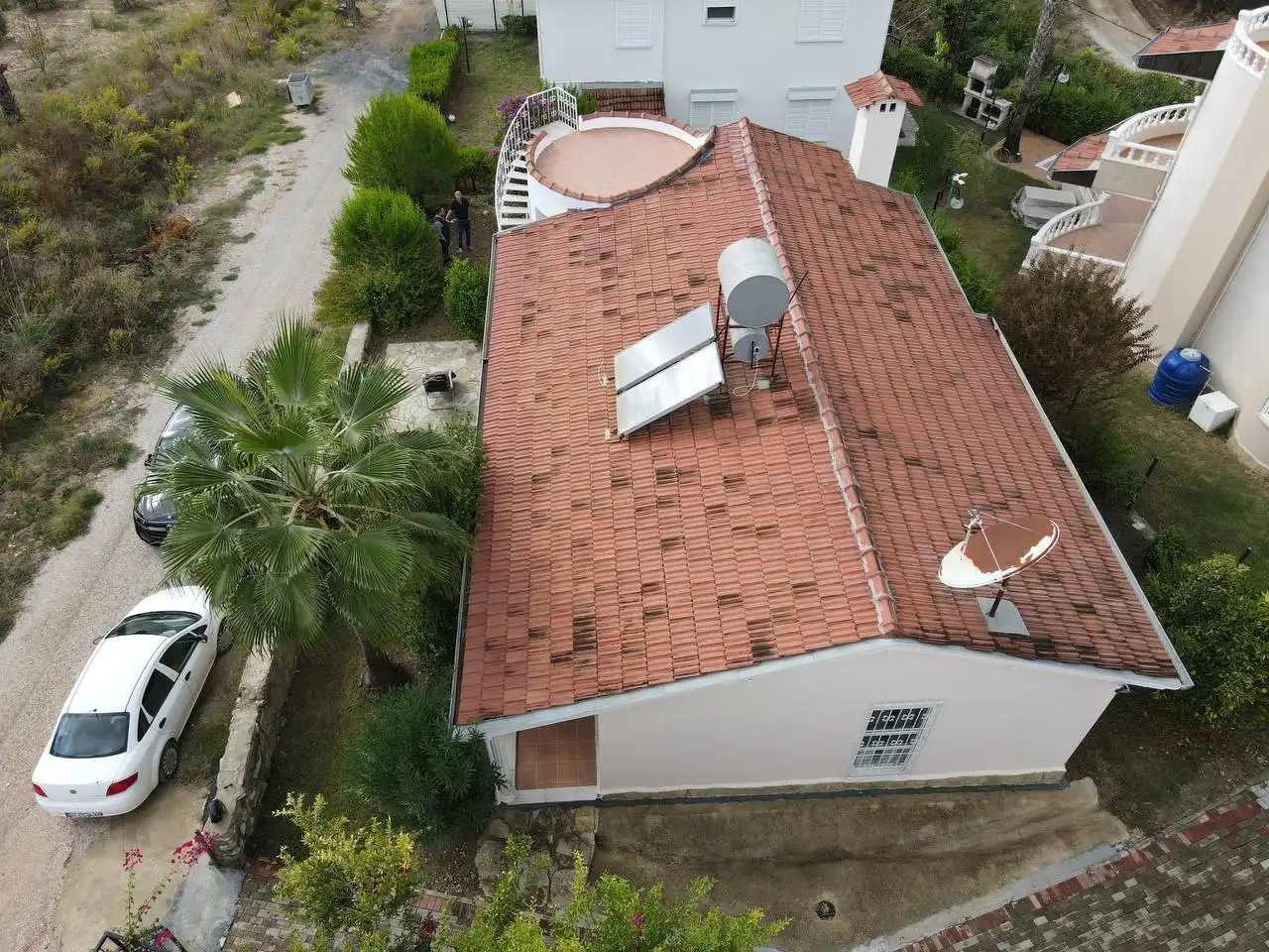 Изображение Уютная вилла окружённая оливковой рощей